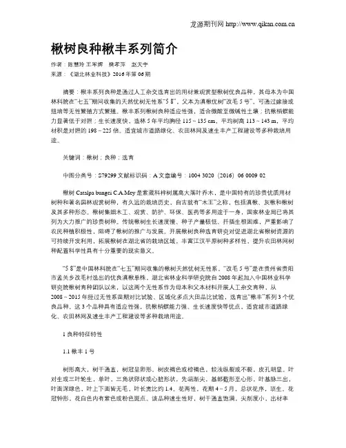 楸树良种楸丰系列简介
