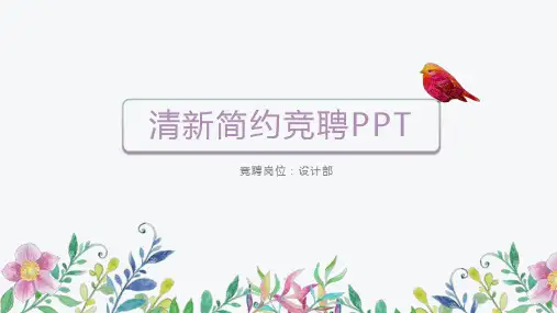 技术总监(CTO)竞聘PPT