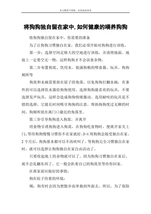 将狗狗独自留在家中,如何健康的喂养狗狗