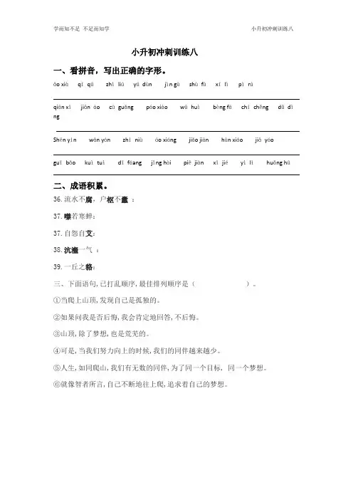 小升初冲刺训练八