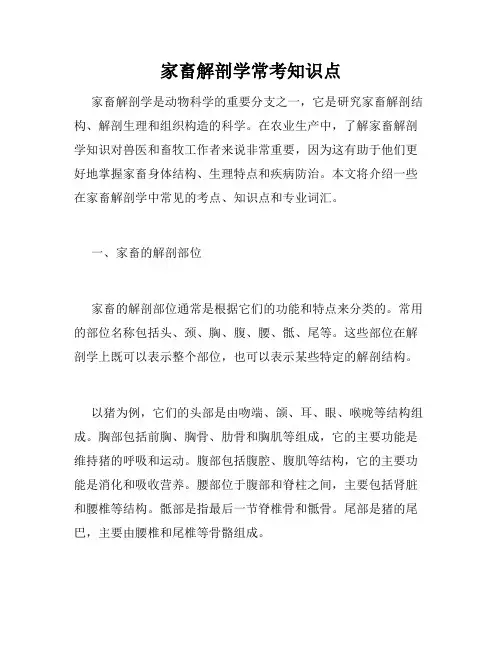 家畜解剖学常考知识点