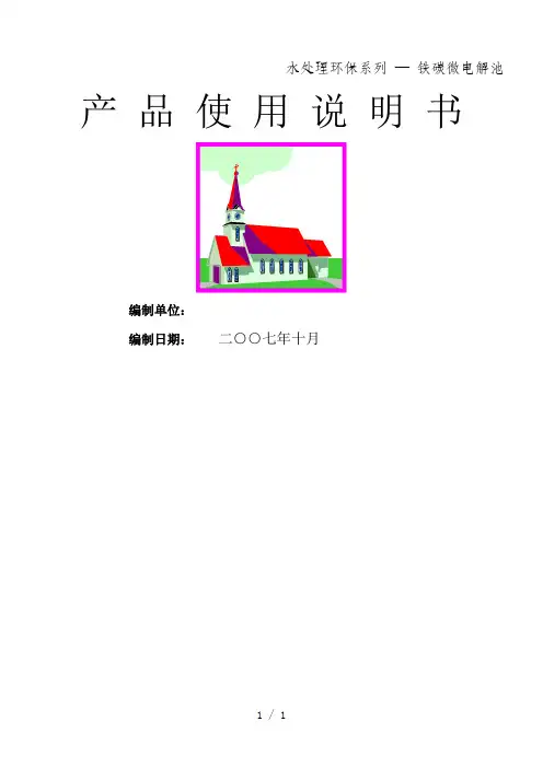 铁炭微电解说明word版