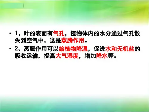 青岛版五四制小学科学新三年级上册科学植物的花课件