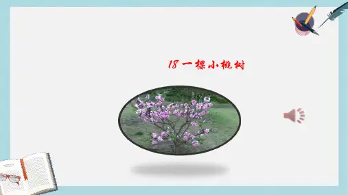七年级语文下册(人教版)18-一棵小桃树ppt课件