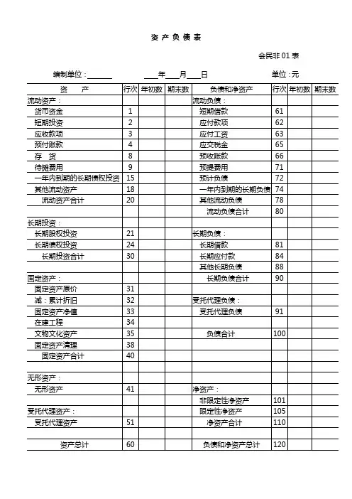 民间非营利组织会计报表(民政部)