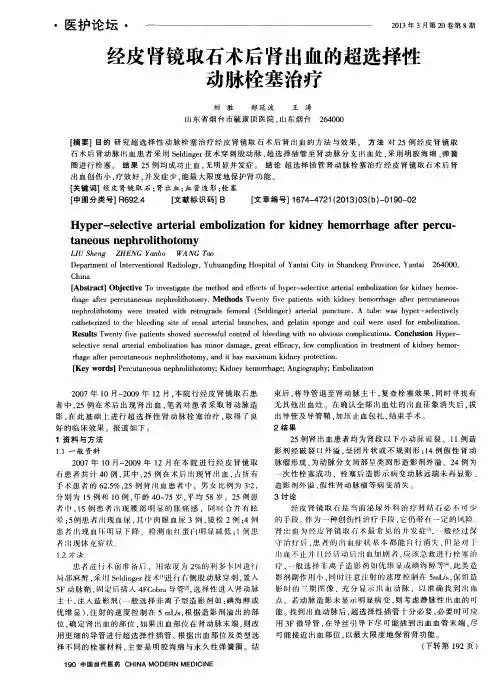 经皮肾镜取石术后肾出血的超选择性动脉栓塞治疗