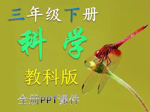 教科版小学三年级下册科学全册PPT课件