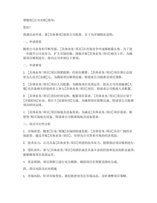 公司批准申请书格式