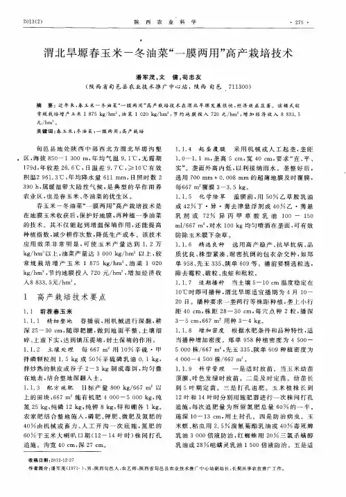 渭北旱塬春玉米-冬油菜“一膜两用”高产栽培技术
