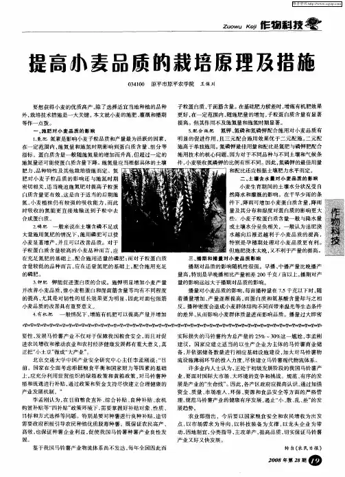 提高小麦品质的栽培原理及措施