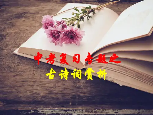 中考语文复习专题之古诗词赏析
