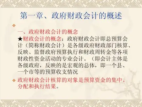 政府(财政)会计