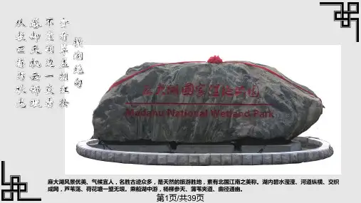 公园亮化设计PPT课件