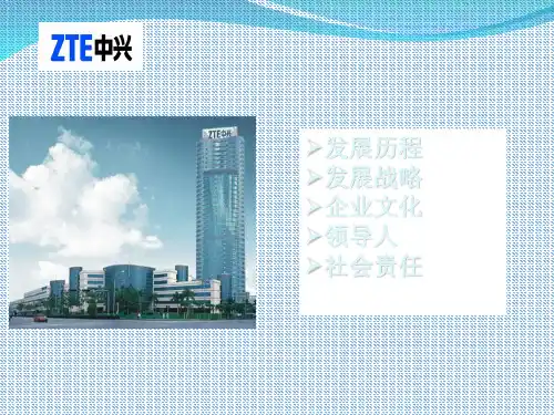 中兴案例分析.ppt