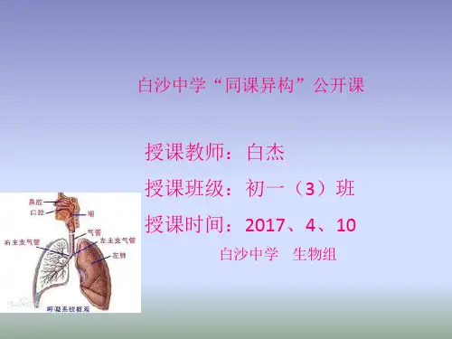 北师大版生物七年级下册10.2《人体细胞获得氧气的过程》课件 (共24张PPT)