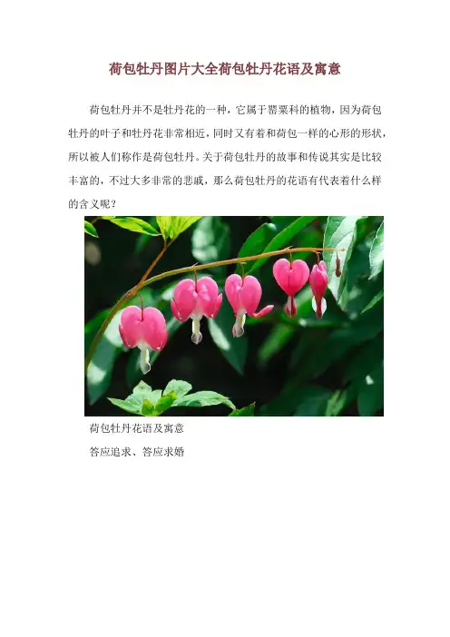 荷包牡丹图片大全 荷包牡丹花语及寓意