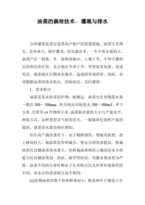 油菜的栽培技术-- 灌溉与排水