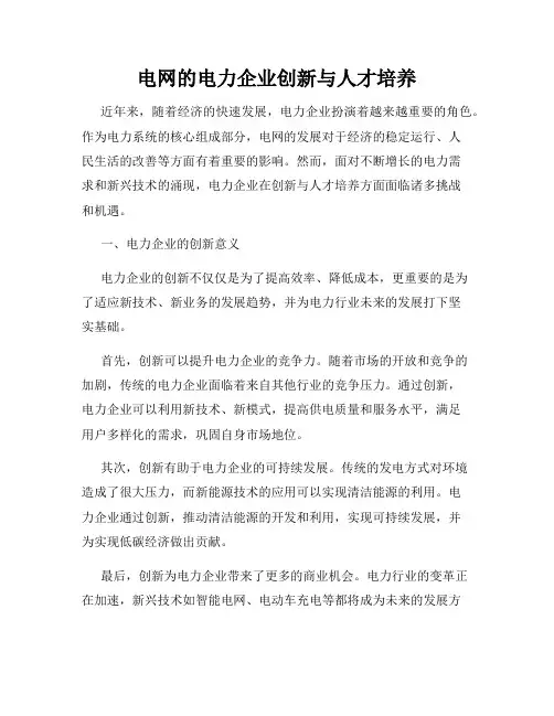 电网的电力企业创新与人才培养