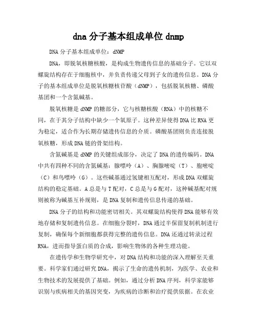 dna分子基本组成单位dnmp