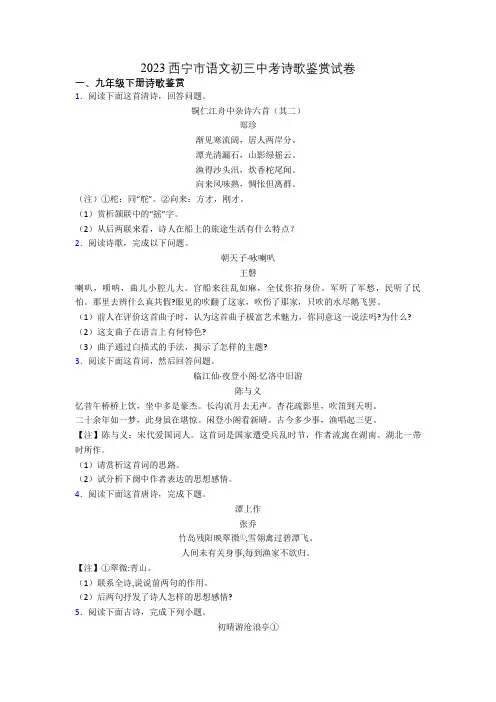 2023西宁市语文初三中考诗歌鉴赏试卷