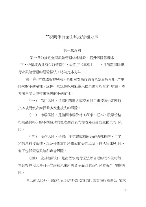 农商行全面风险管理办法word精品