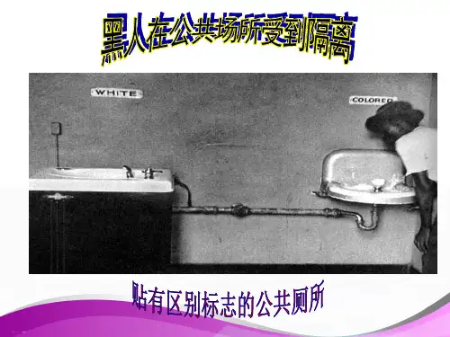 人教版必修2 《我有一个梦想》教学课件(共29张PPT)