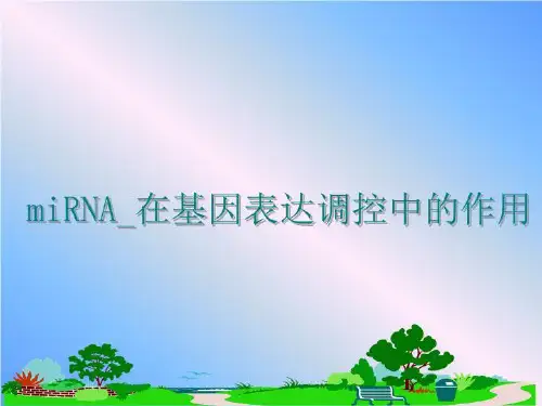 最新miRNA_在基因表达调控中的作用讲学课件