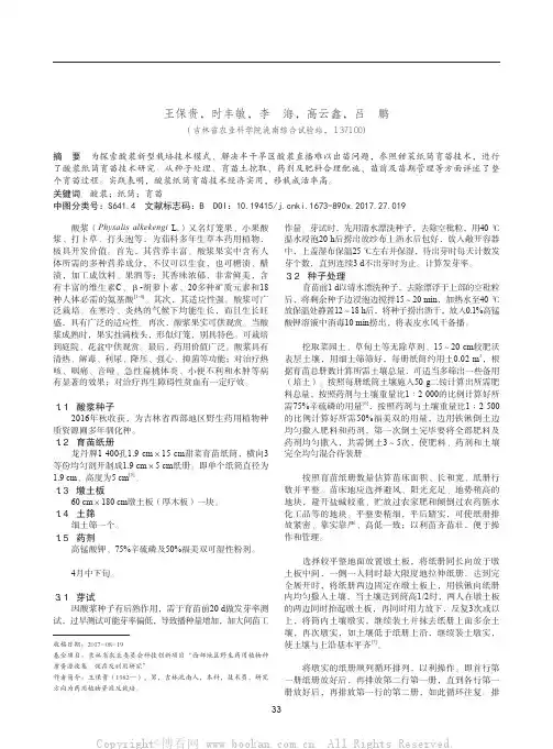 酸浆纸筒育苗技术