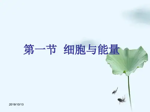 生物《细胞和能量》讲义浙科必修