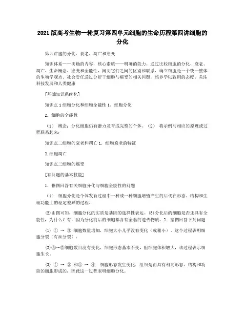2021版高考生物一轮复习第四单元细胞的生命历程第四讲细胞的分化