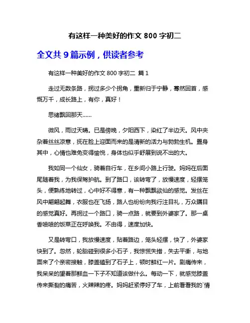 有这样一种美好的作文800字初二