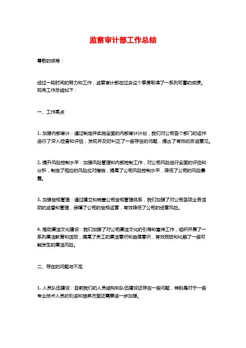 监察审计部工作总结