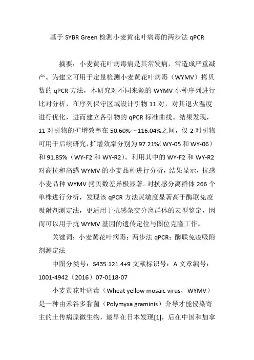 基于SYBR Green检测小麦黄花叶病毒的两步法qPCR