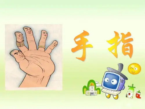 5手指PPT课件详解