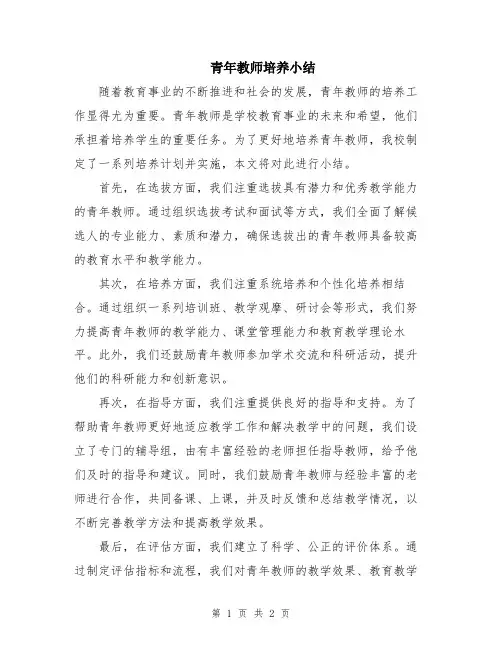 青年教师培养小结