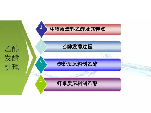 生物质燃料乙醇发酵技术PPT.ppt