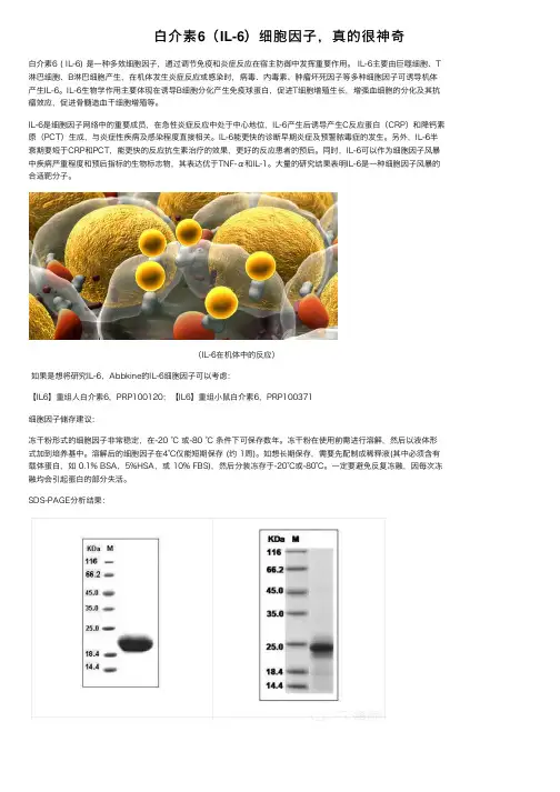 白介素6（IL-6）细胞因子，真的很神奇
