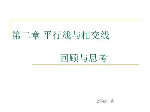 平行线与相交线复习北师大版七年级下册数学ppt课件