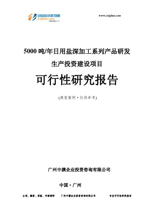 5000吨年日用盐深加工系列产品研发生产投资建设项目可行性研究报告-广州中撰咨询