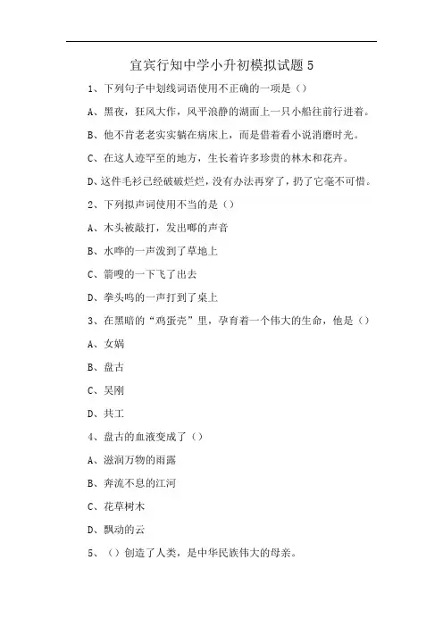 宜宾行知中学小升初模拟试题5