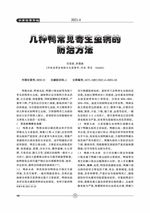 几种鸭常见寄生虫病的防治方法