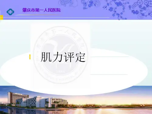 徒手肌力评定