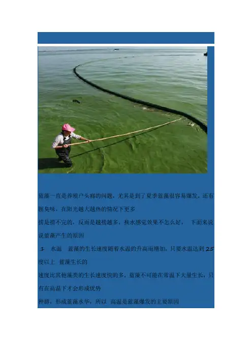 蓝藻的产生原因以及处理方法
