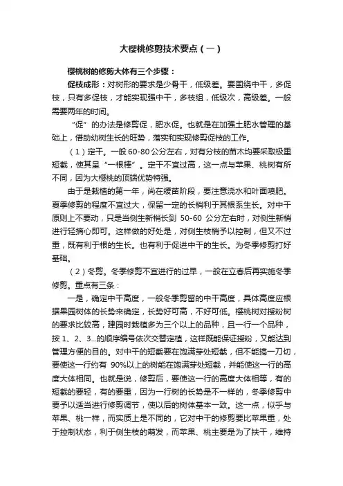 大樱桃修剪技术要点（一）