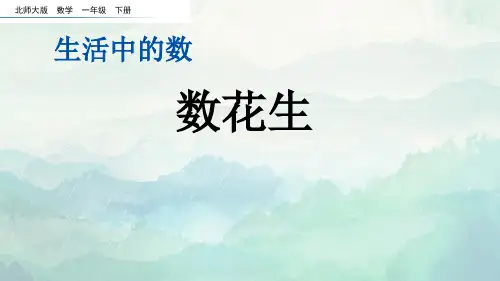 北师大版一年级数学下册数花生课件