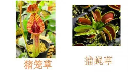 浙教七年级科学上册课件：第三章人类的家园地球共30张ppt
