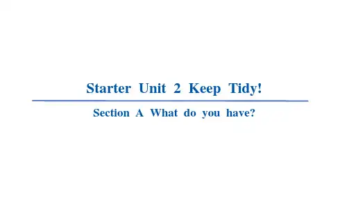 人教版(2024)七年级英语上册+Starter Unit 2 Keep Tidy!练习课件