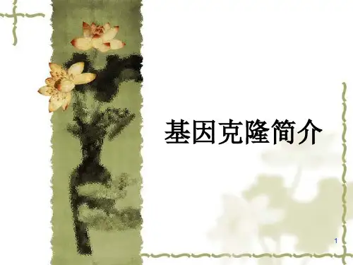 基因克隆简介ppt课件