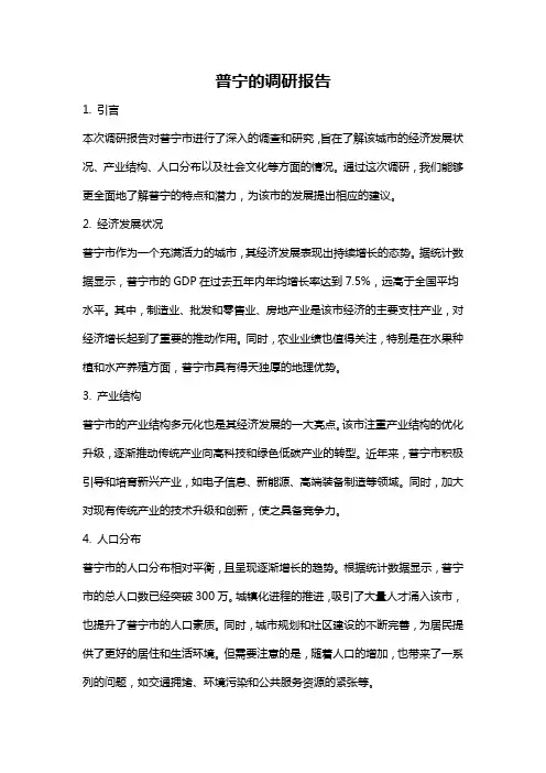 普宁的调研报告