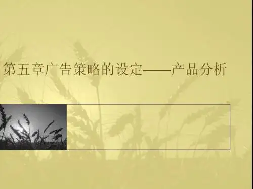 第五章广告策略的设定产品分析.ppt